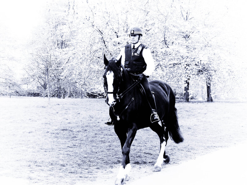 Police Officer on Horse