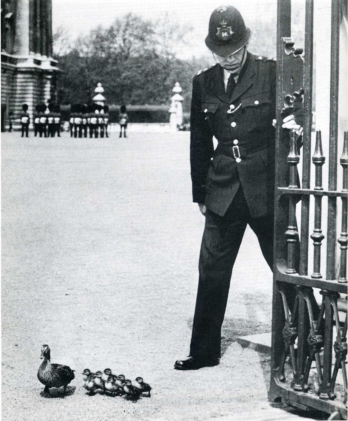 Police officer with ducklings