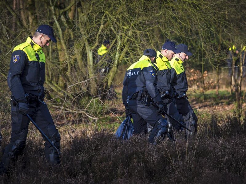 Police Officers in Forest