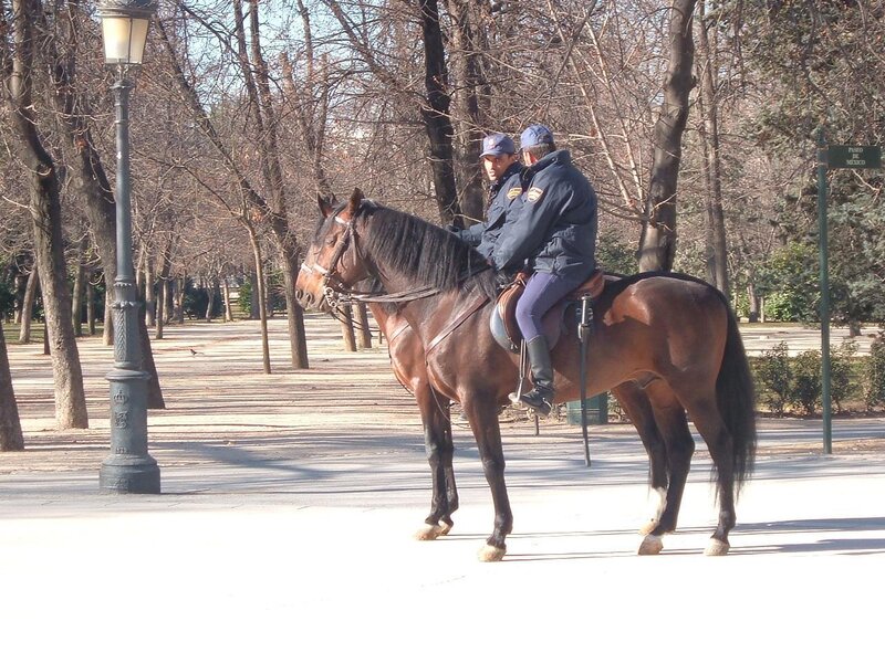 Police officers on horseback in park