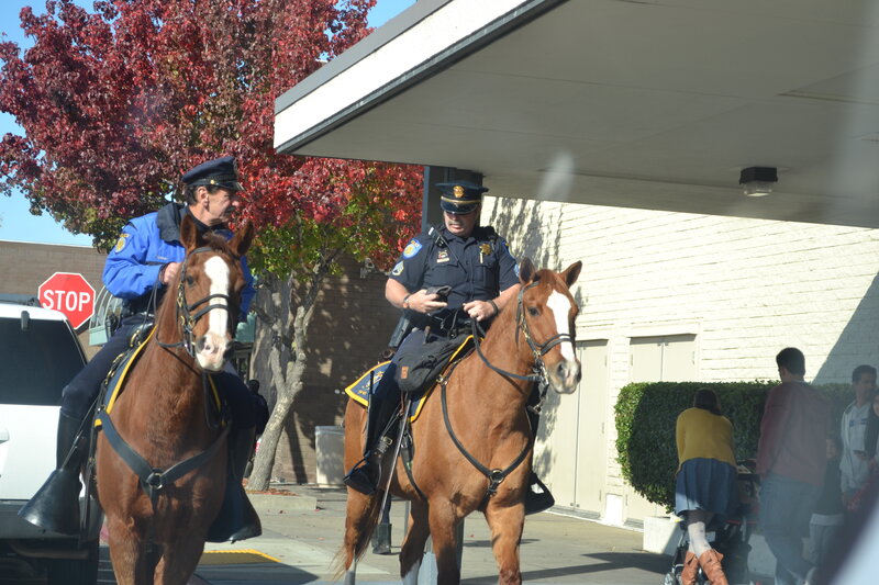Police Officers on Horses