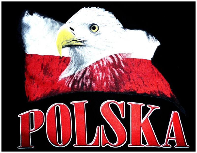 Polish eagle and flag design
