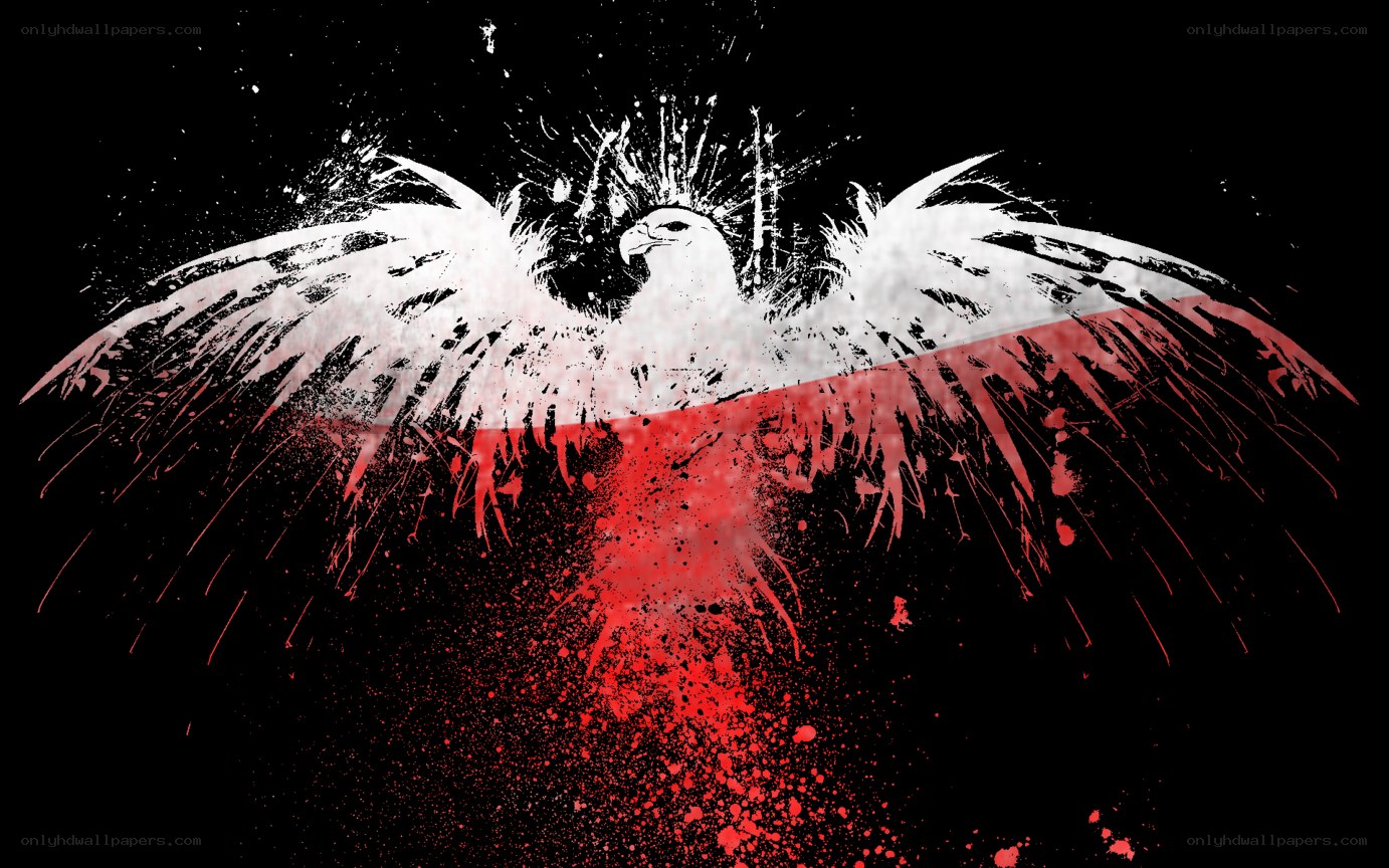 Polish eagle with flag splatter