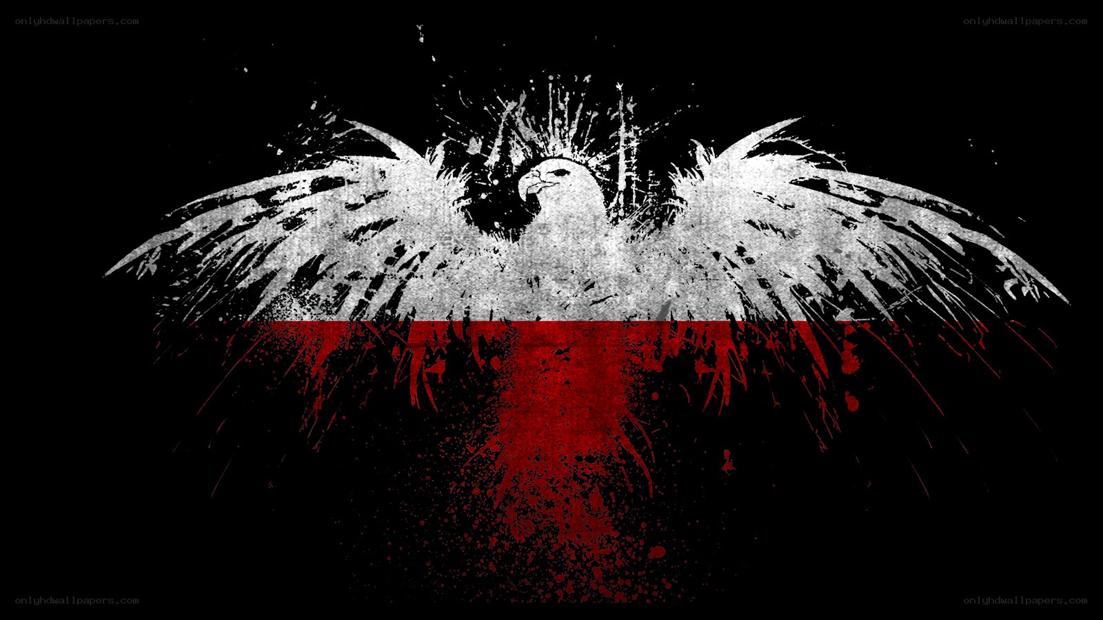 Polish eagle with flag