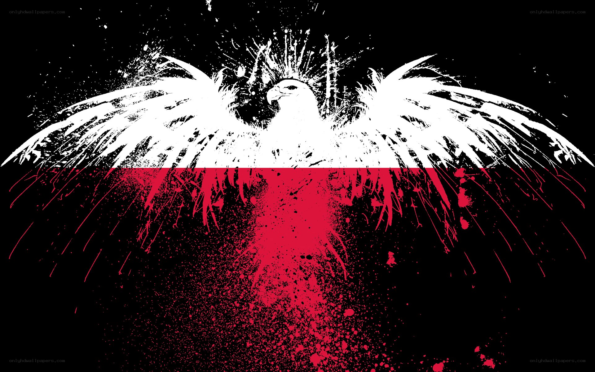 Polish eagle with red splatter