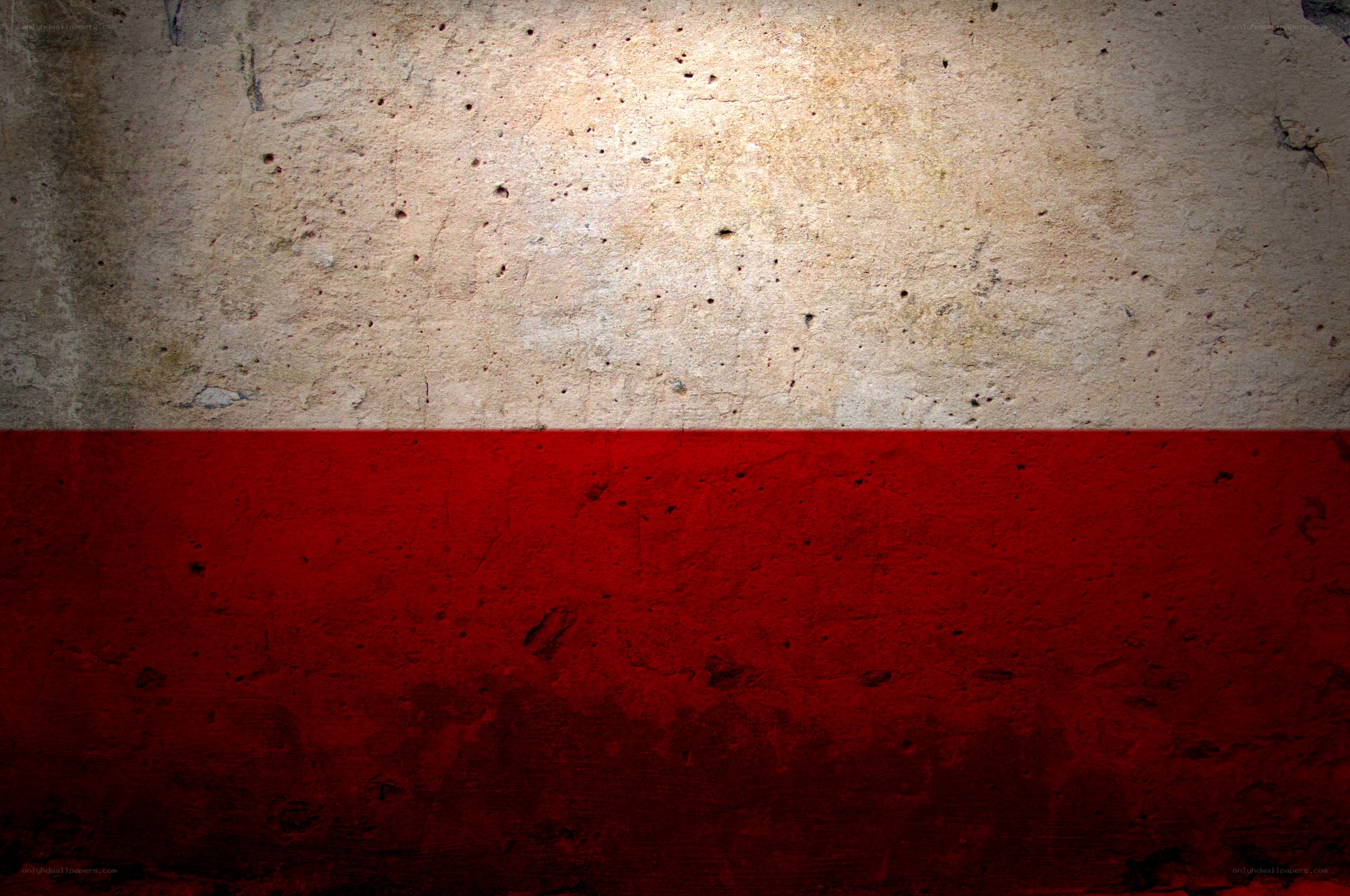 Polish flag on concrete wall