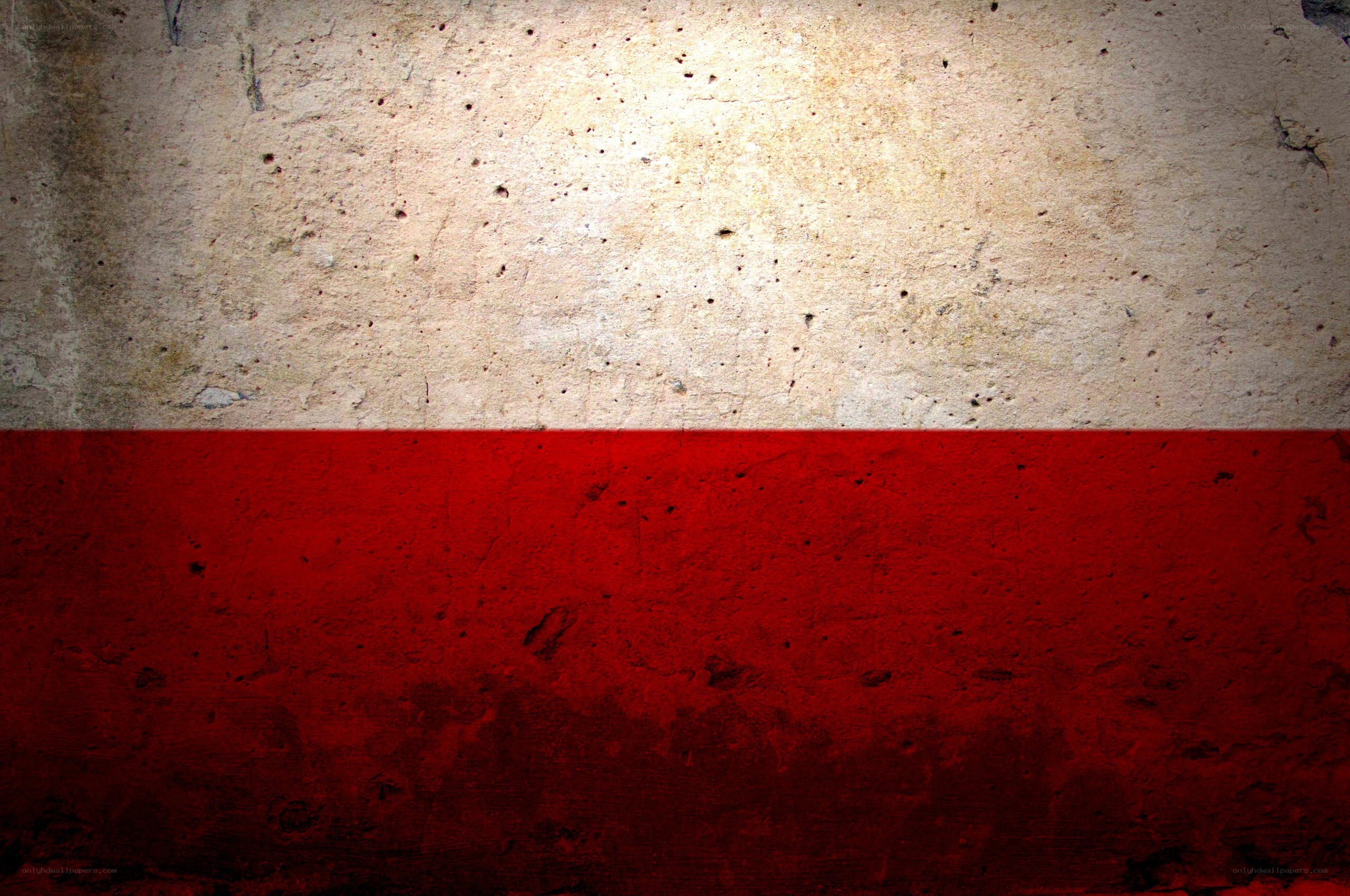 Polish flag on textured wall