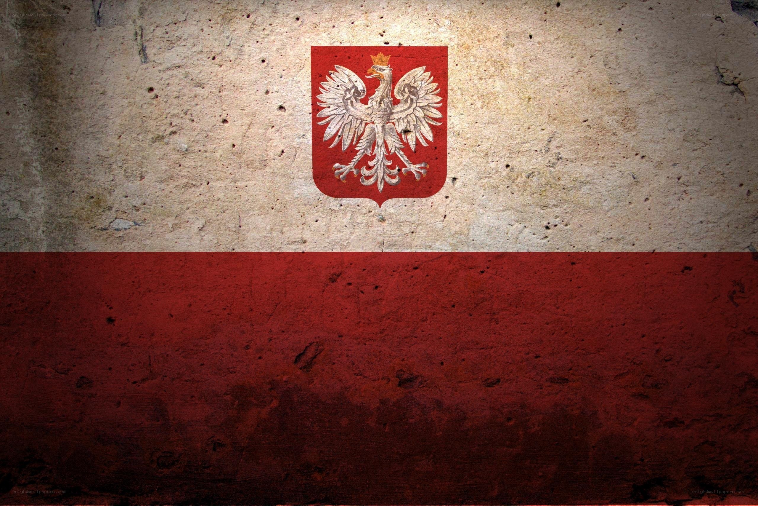 Polish flag on textured wall