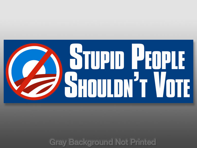 Political Bumper Sticker