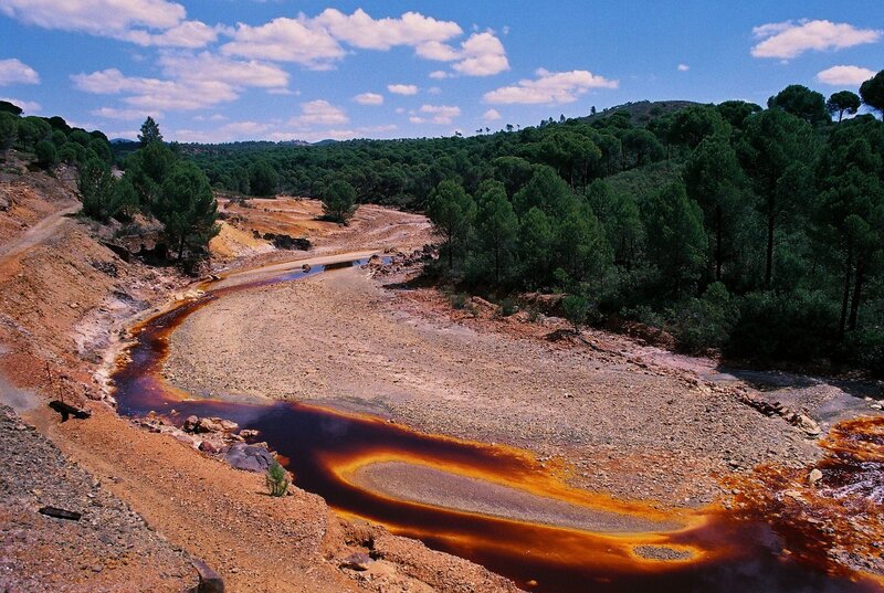 Polluted River Bend
