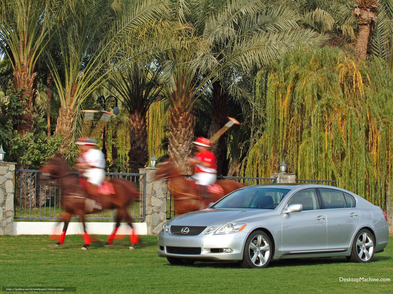 Polo match with luxury car