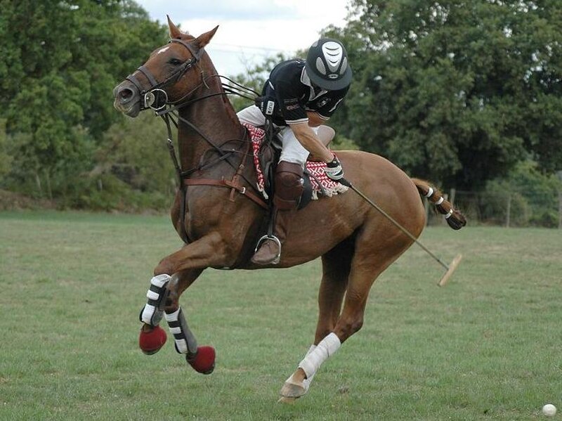 Polo player on horseback