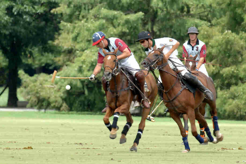 Polo players in action