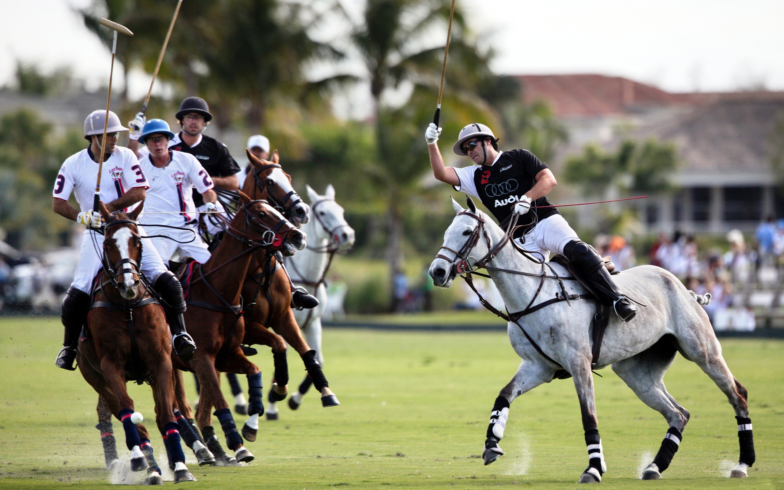 Polo players in action on field