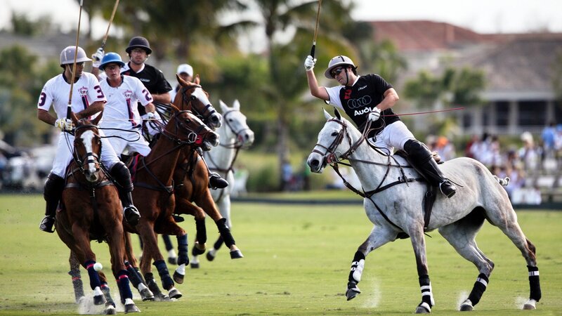 Polo players in action on field
