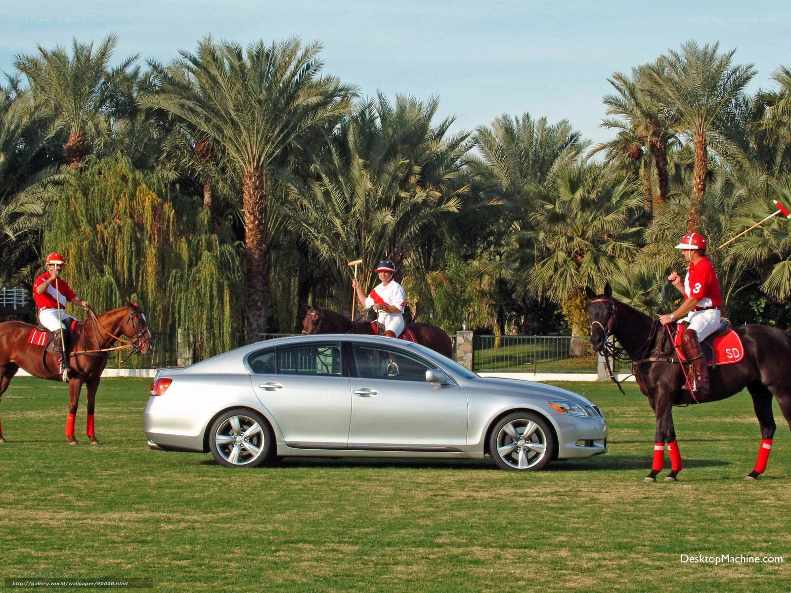 Polo players on a grass field