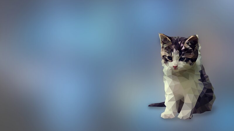 Polygonal Kitten