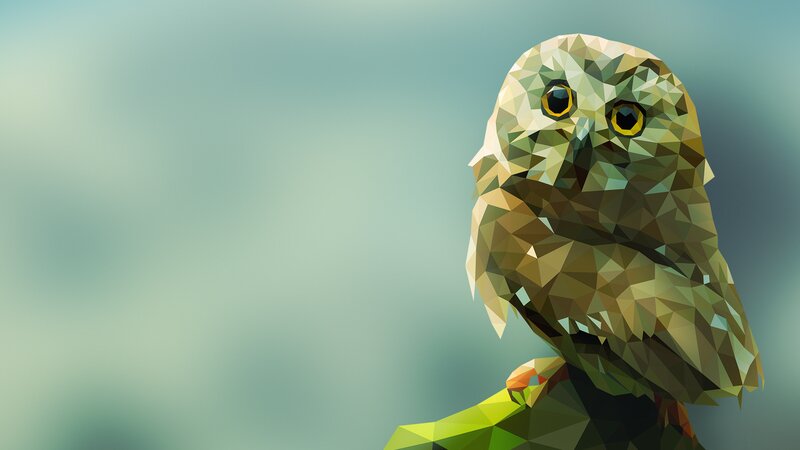 Polygonal Owl on Branch