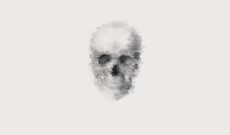 polygonal skull illustration
