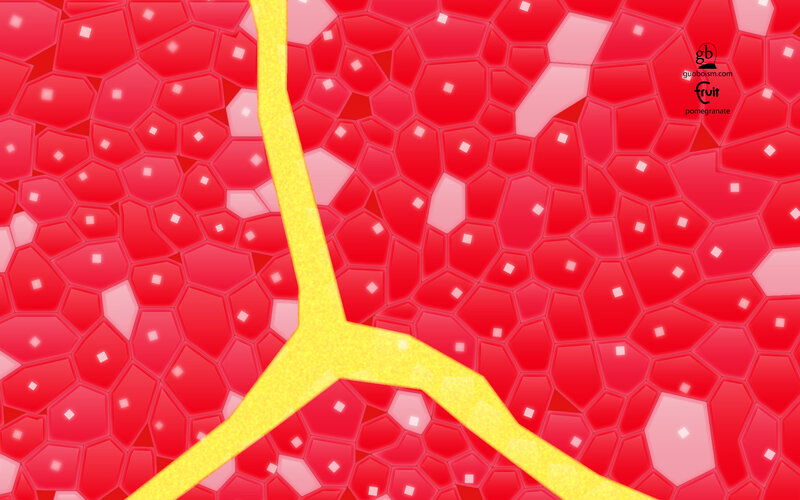 Pomegranate Interior