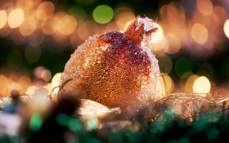 Pomegranate with Dew