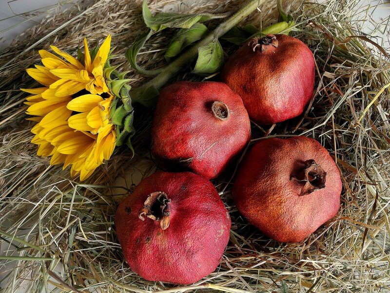 Pomegranates and Sunflower