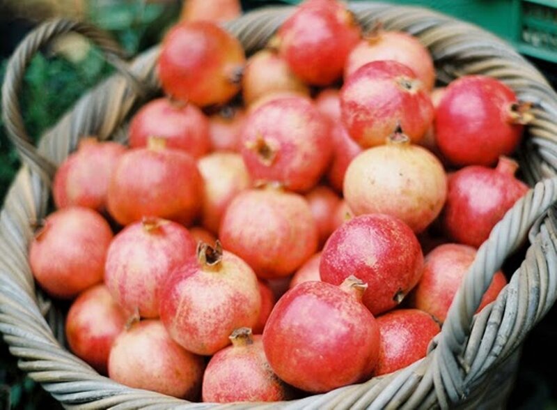 Pomegranates in a Basket — Red