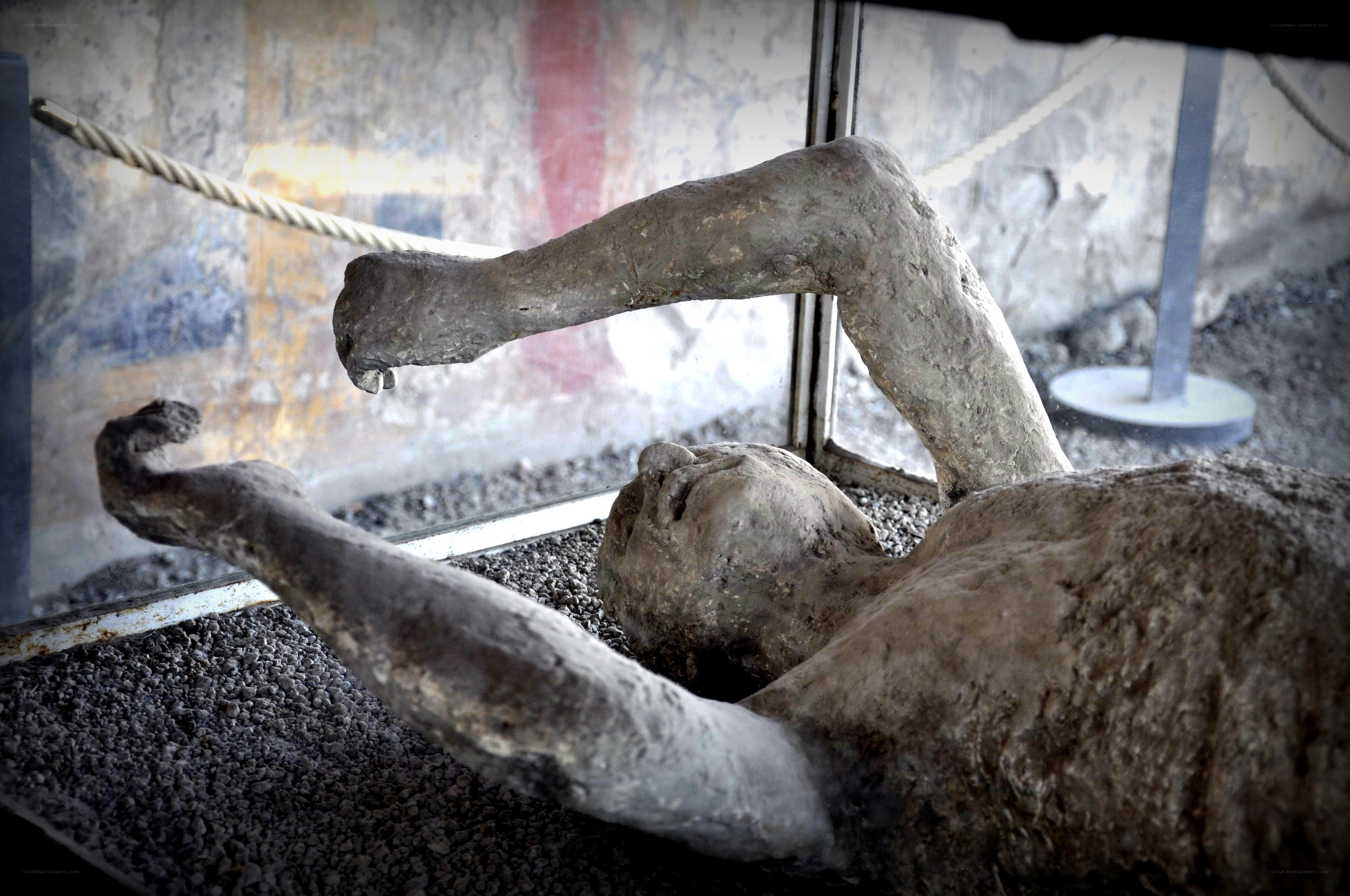 Pompeii victim remains