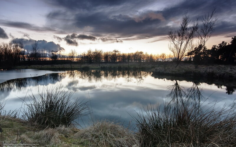 Pond at Dusk — Blue, Dramatic