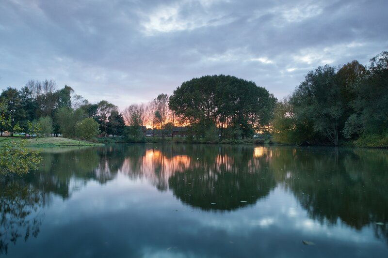 Pond at Dusk — Blue, Serene, Sunset, Photograph