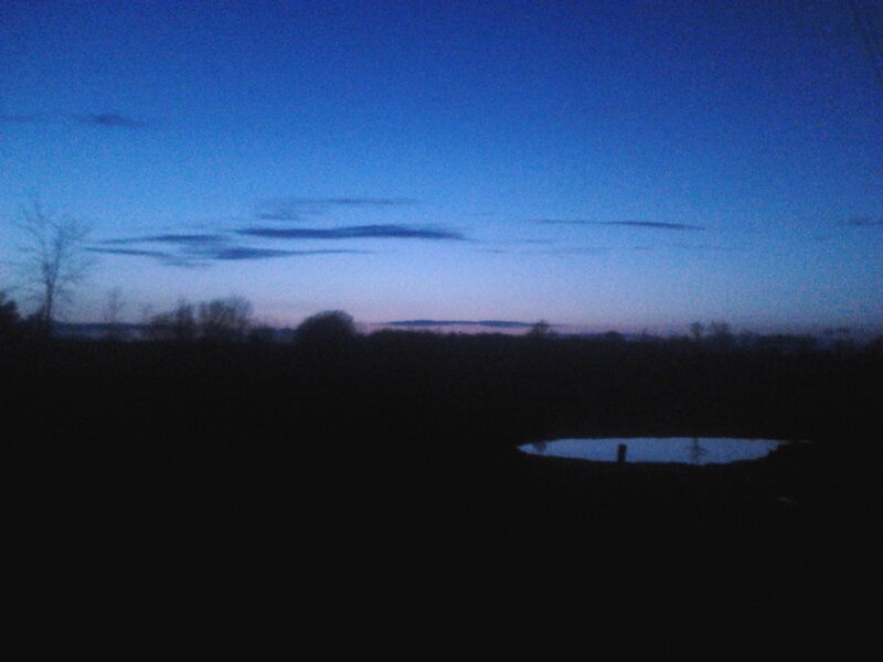 Pond at Dusk — Blue