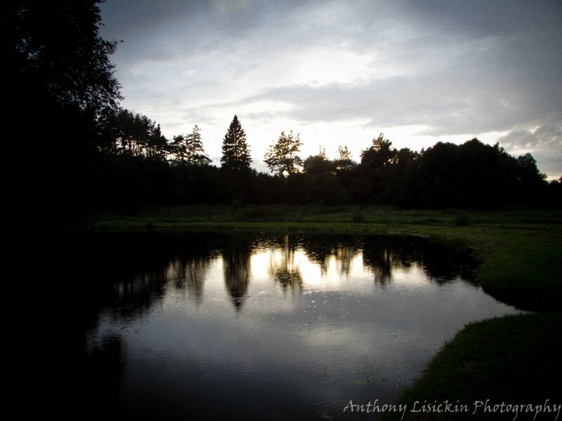 Pond at Dusk
