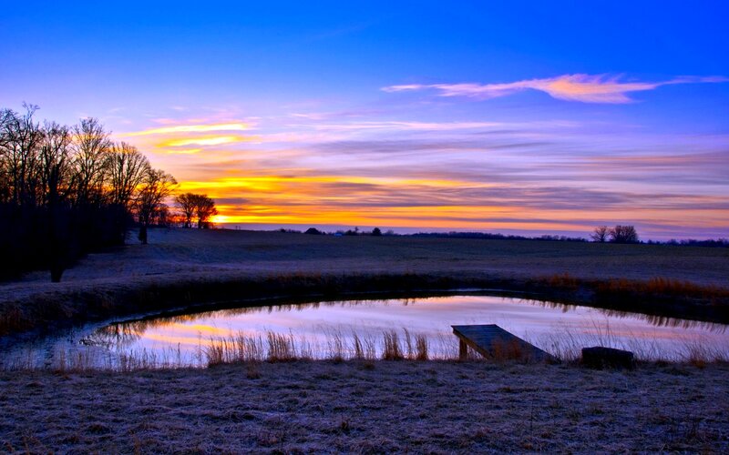 Pond at Sunrise