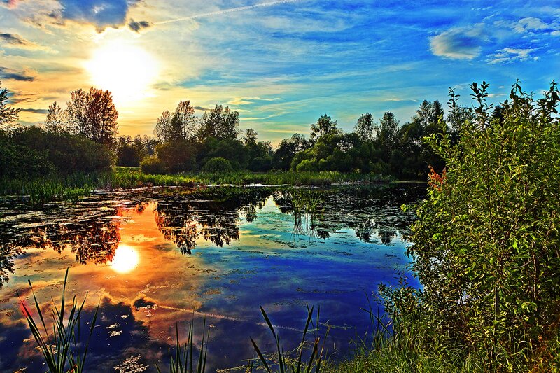 Pond at Sunset — Blue, Serene