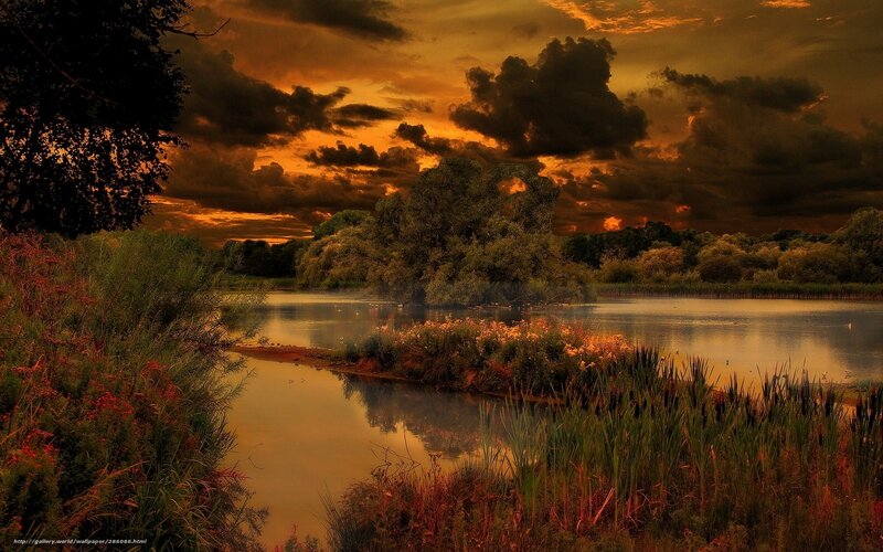 Pond at Sunset — Orange, Dramatic, Photograph, Trees