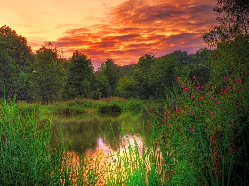 Pond at Sunset — Orange