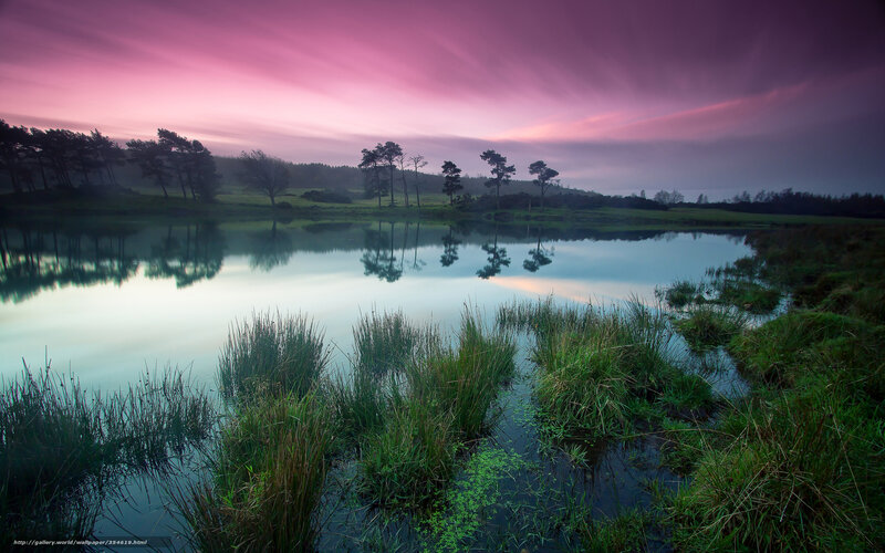 Pond at Twilight