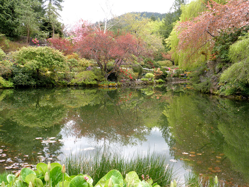 Pond in a Garden