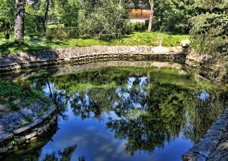 Pond in a lush garden