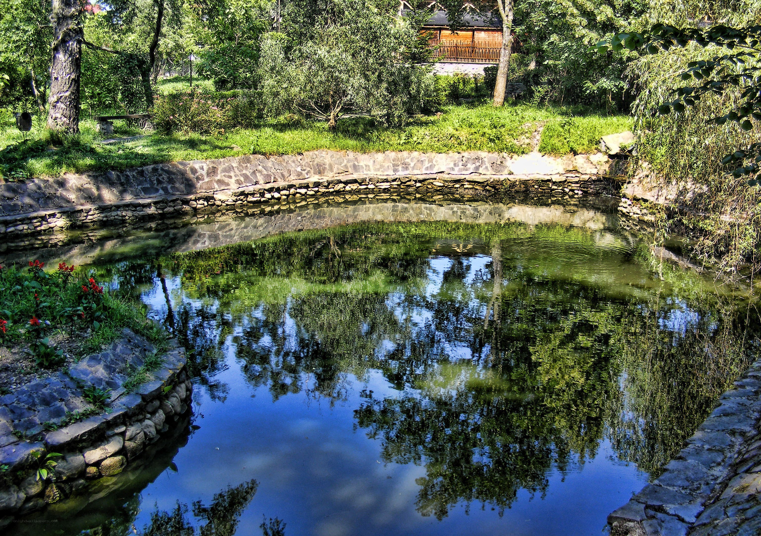 Pond in a lush garden