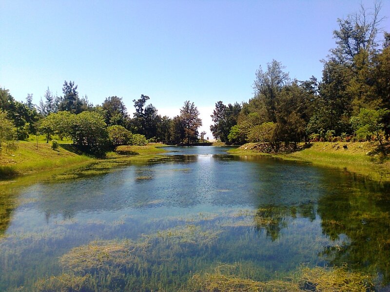 Pond in a Park — Blue