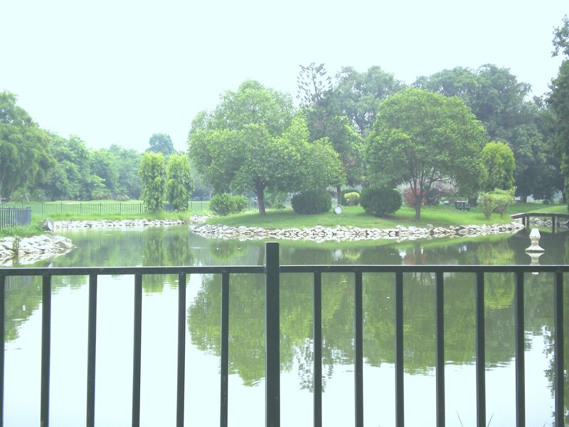 Pond in a Park — Green, Calm