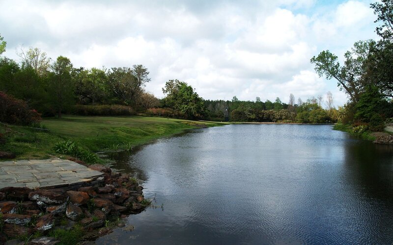 Pond in a Park — Green, Serene, Afternoon, Photograph, Trees, Grass