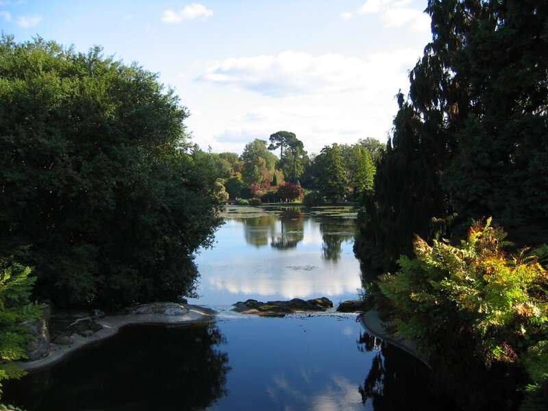 Pond in a Park — Green, Serene