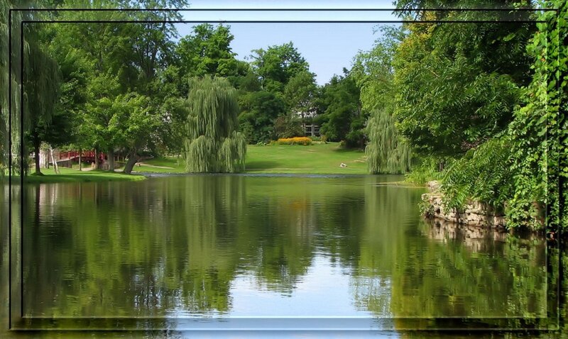 Pond in a Park — Green