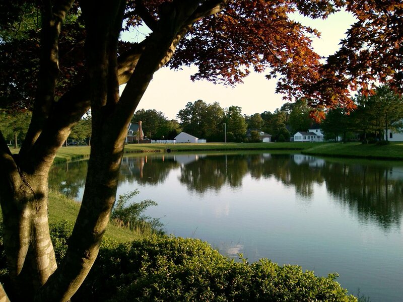 Pond in a suburban neighborhood