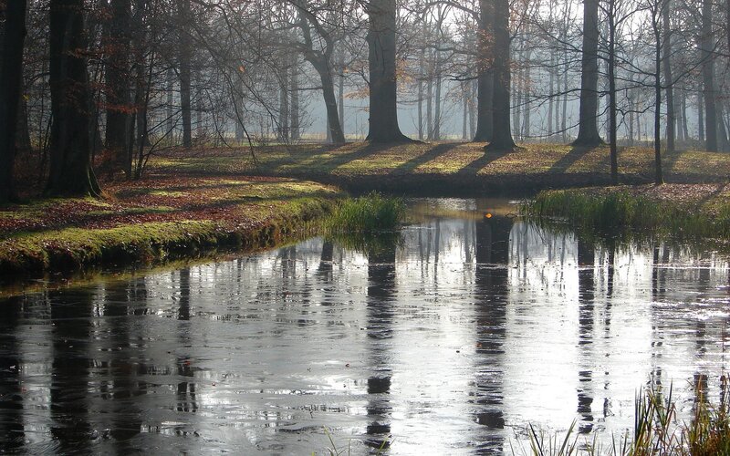 Pond in Autumn Forest — Green, Serene, Photograph, Trees, Water