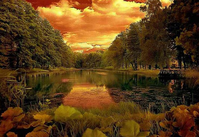 Pond in Autumn Forest — Orange