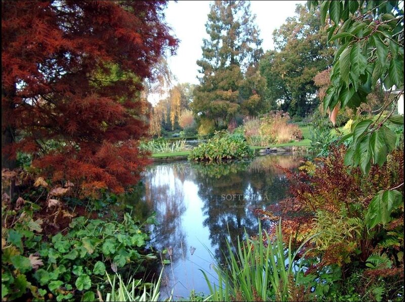 Pond in Autumn Garden — Green, Serene, Photograph