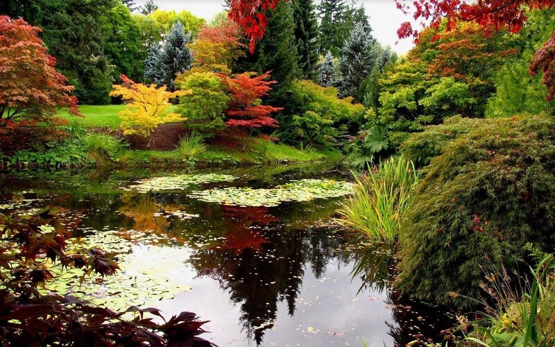 Pond in Autumn Garden